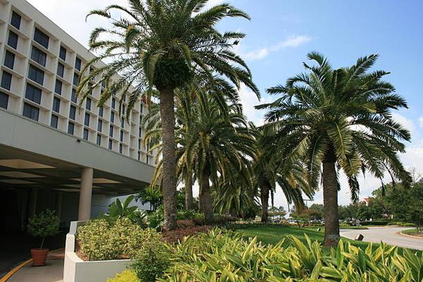 How Westgate Resorts Is Changing the Way People Vacation