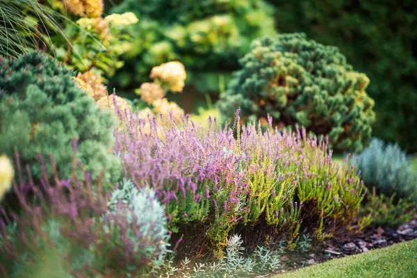 The Art of Garden Drawings: Bringing Your Landscape Vision to Life